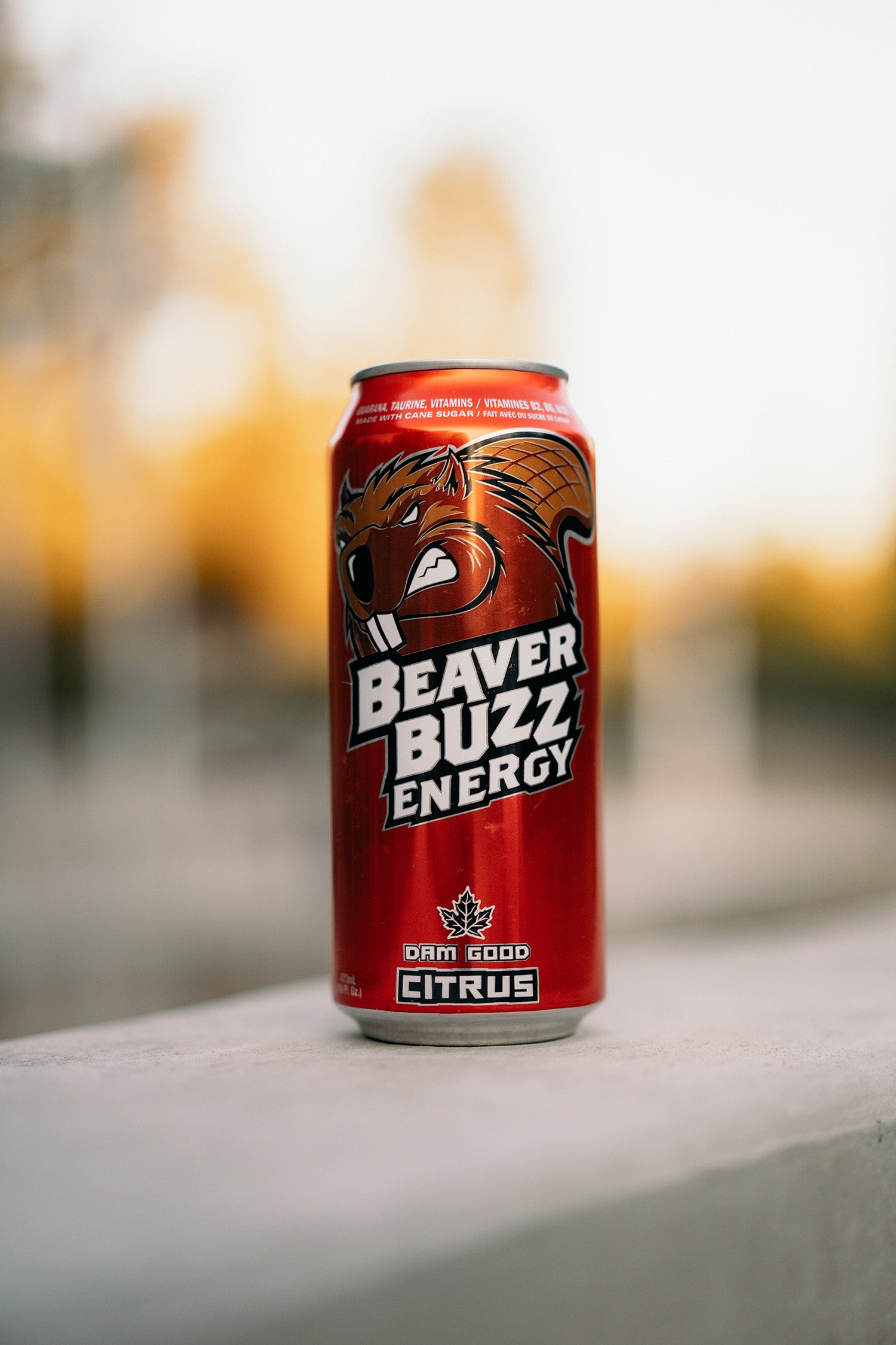 Beaver Buzz, Citrus