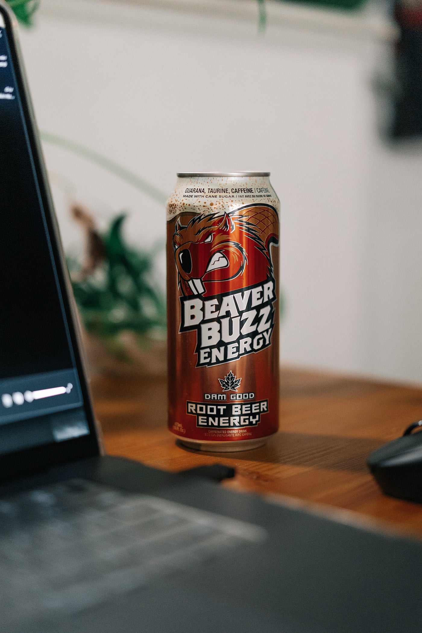 Beaver Buzz, Root Beer